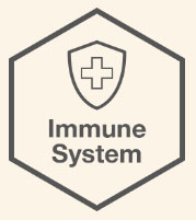 gummies-systeme-immunitaire